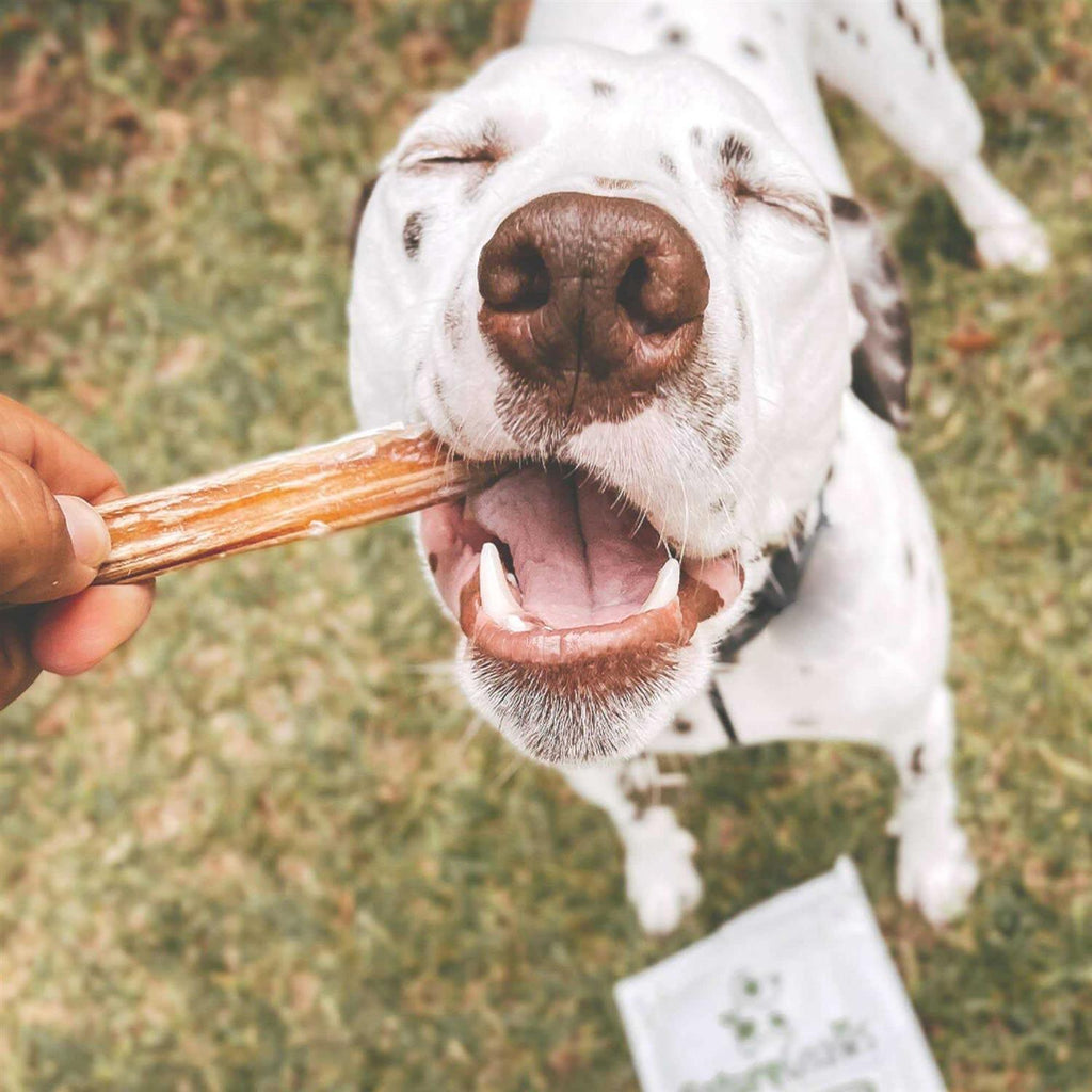 Natural Beef Bully Sticks for Dogs E8826