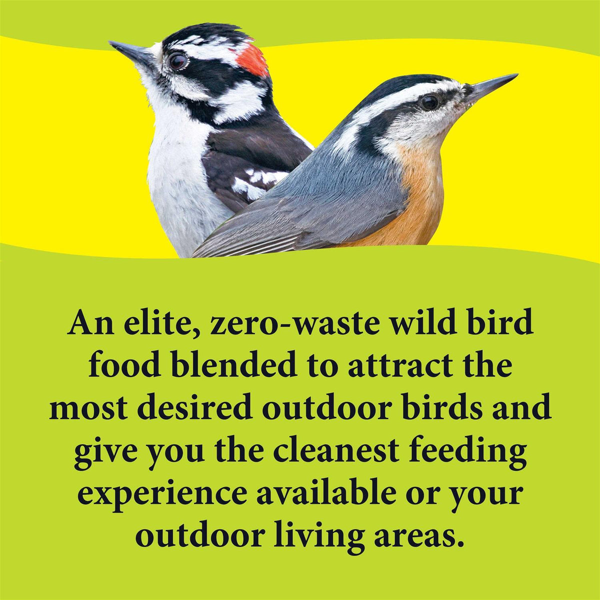Deck Porch Patio Blend Wild Bird Food T7335
