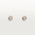 Earrings T2119