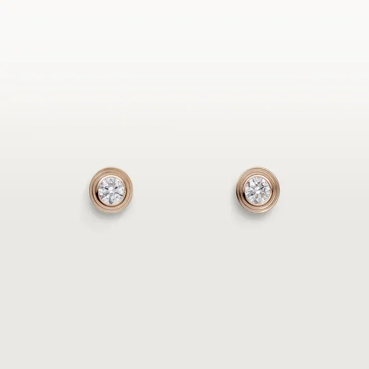 Earrings T2119