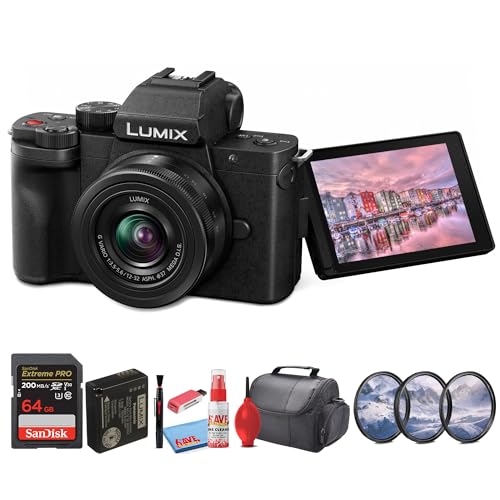 Panasonic Lumix G100 4K Mirrorless Camera with 12-32mm Lens W364