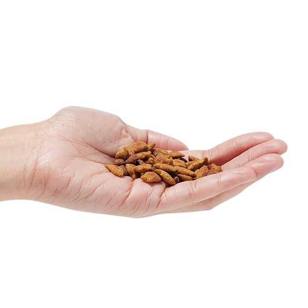 Hairball Control Dry Cat Food U236