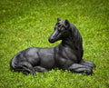 Garden Statue H5531