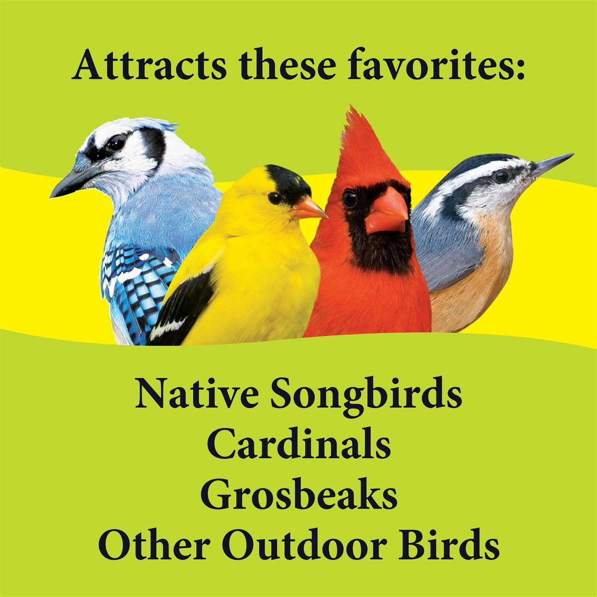Deck Porch Patio Blend Wild Bird Food T7335