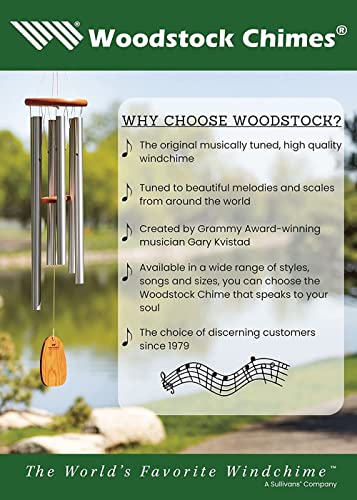 30'' Silver Wind Chimes G245111