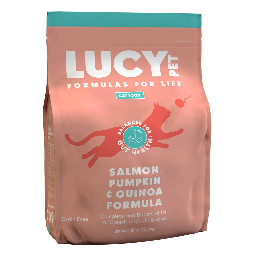 Dry Cat Food Salmon X424486