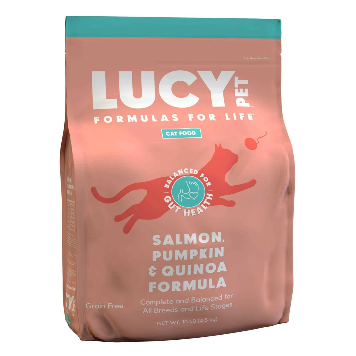 Dry Cat Food Salmon X424486