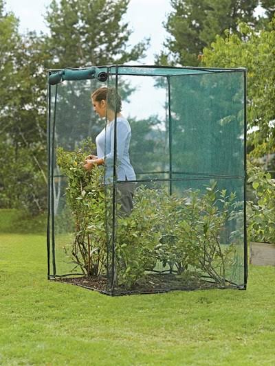 Crop Cage, 4 x 4 Plant Protection Tent D363773