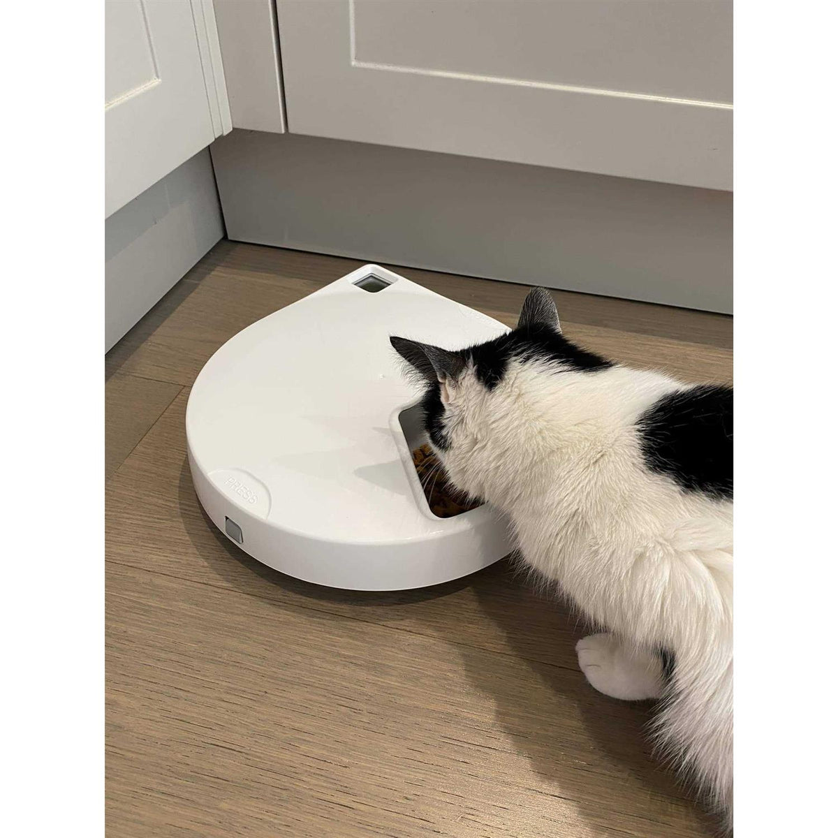 Five-meal Automatic Pet Feeder with Stainless Steel Bowl Inserts and Ice Packs N873