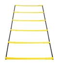 2-in-1 Speed Hurdles and Ladder J629732
