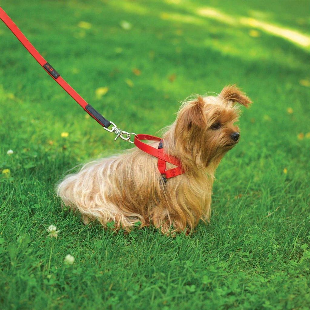 Pet Harness D121