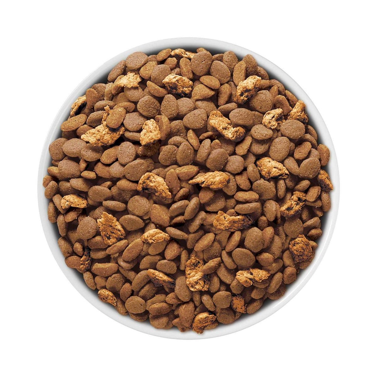 Dry Cat Food Y8074