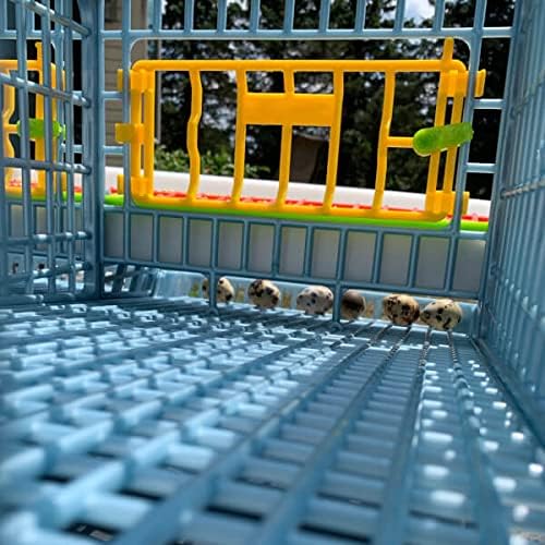 2 Layer ABS Plastic Quail Cage D122816