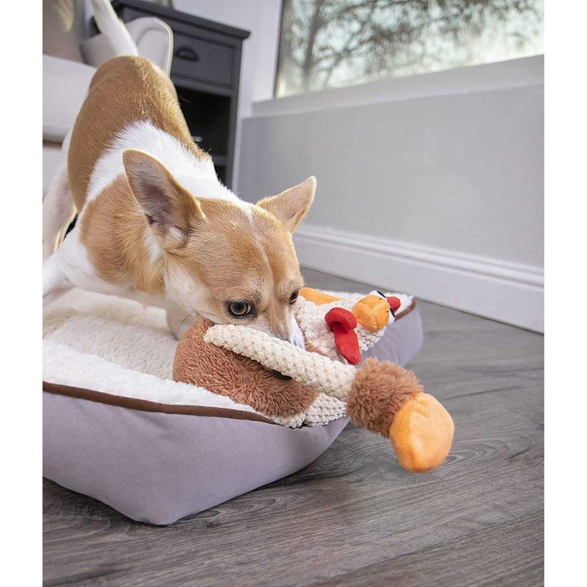 Skinny Rooster Dog Toy F764