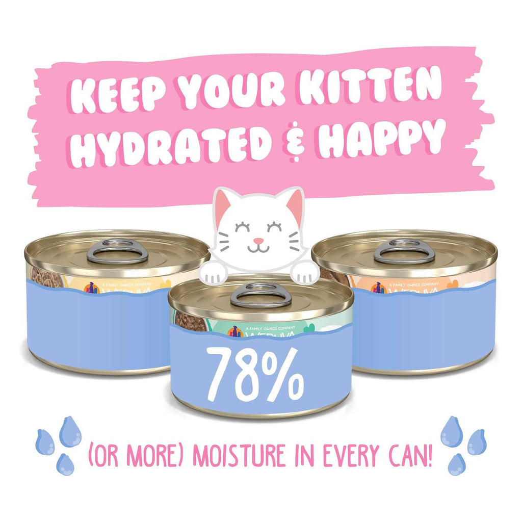 Wet Cat Food Variety Pack T935