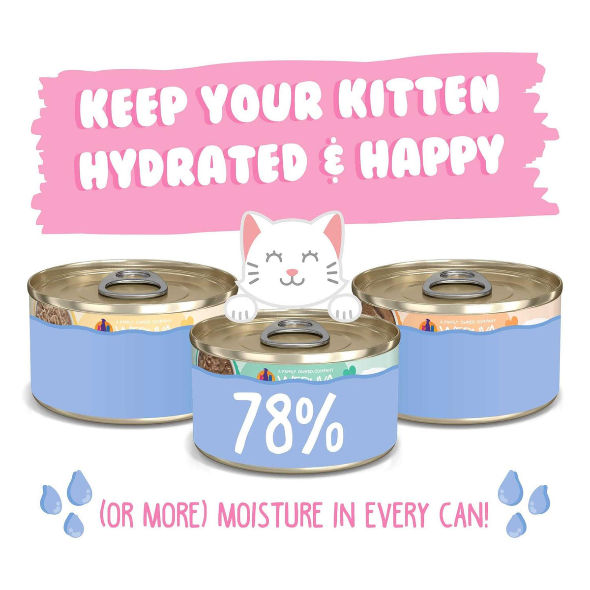 Wet Cat Food Variety Pack T935
