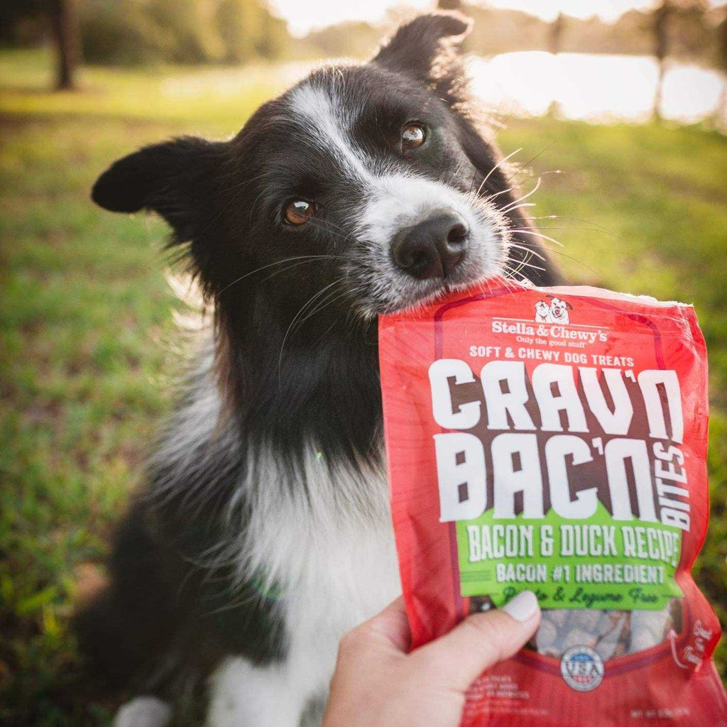 Bacon Dog Treats H542