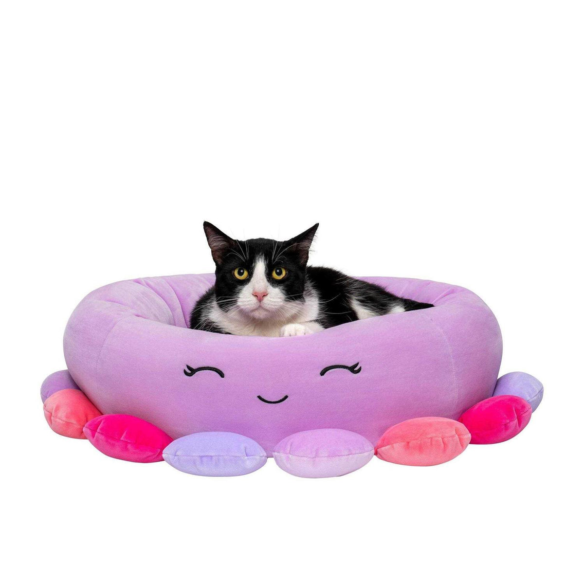 Octopus Pet Bed R3535