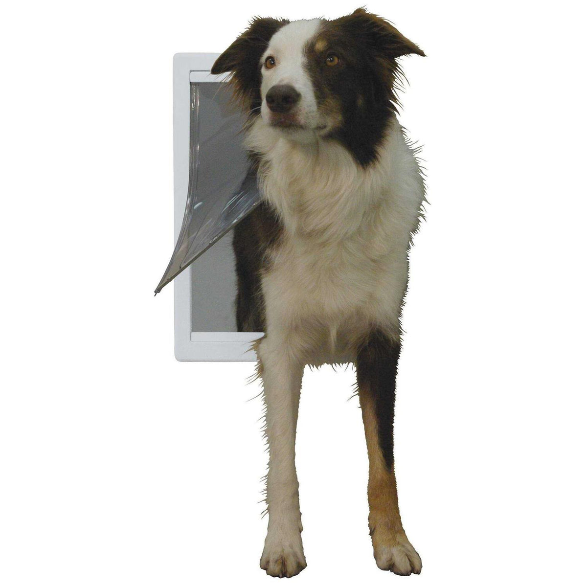 Plastic Pet Door A80997