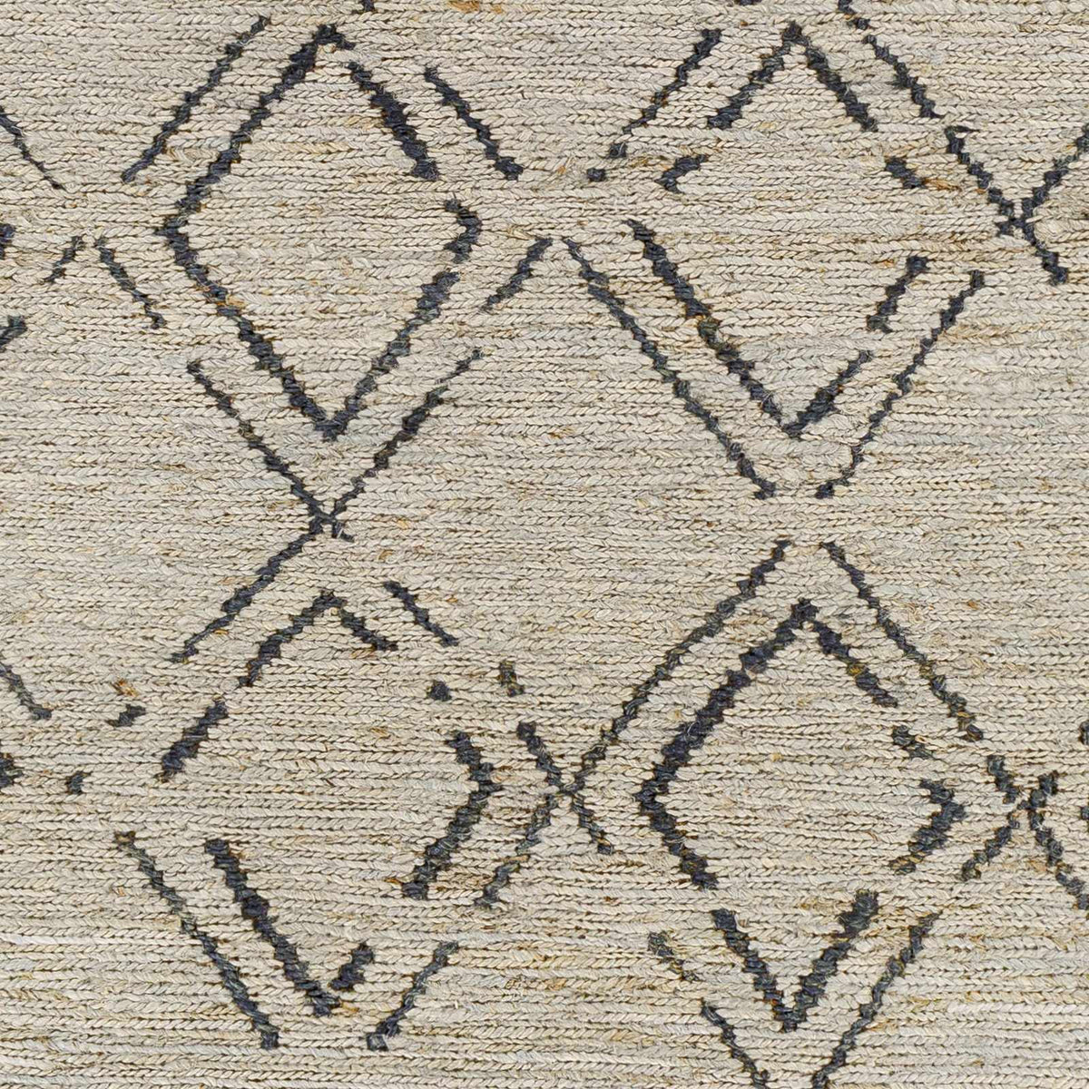 Black Gray 2' x 3' Jute Area Rug X240620
