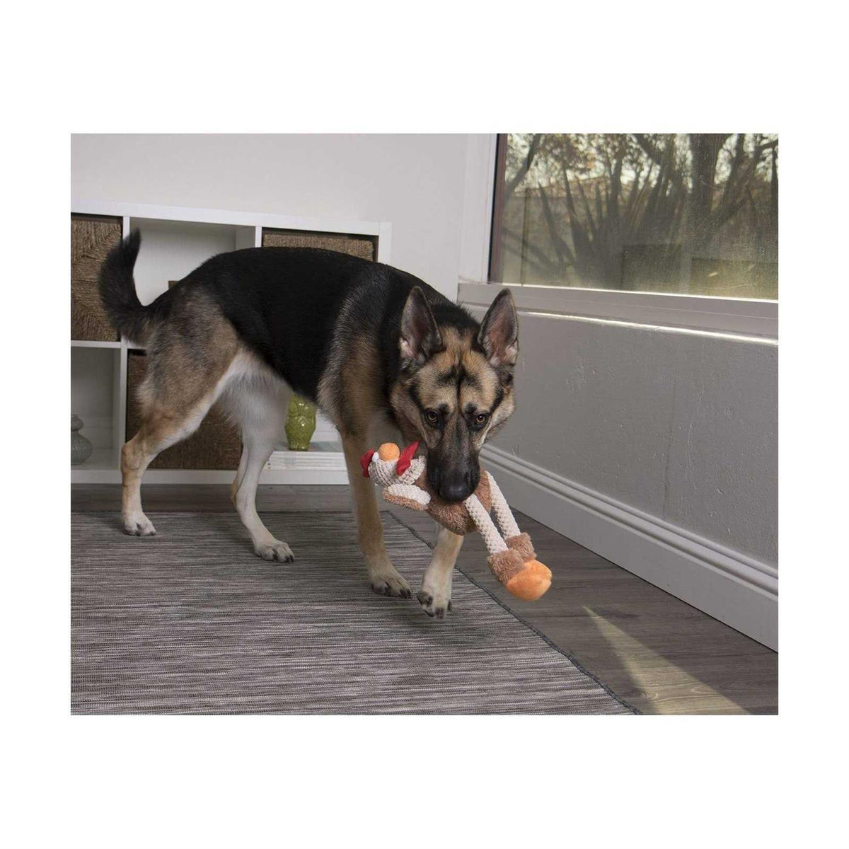 Skinny Rooster Dog Toy F764