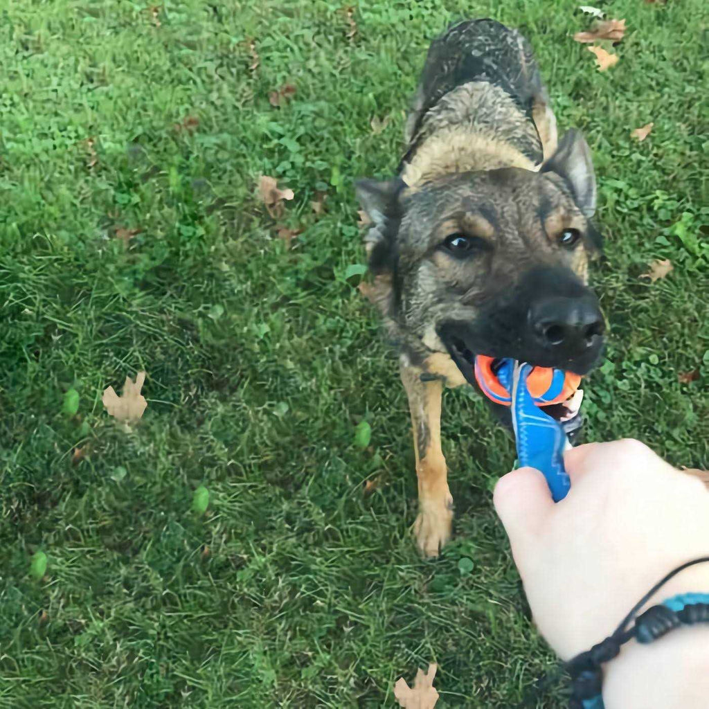 Dog Tug Toy Y1211