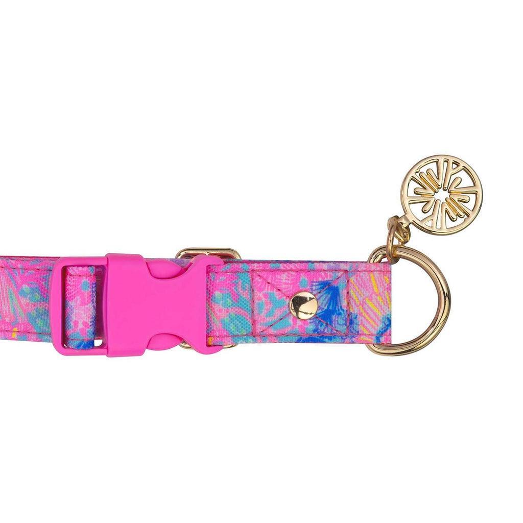 Dog Collar Y651