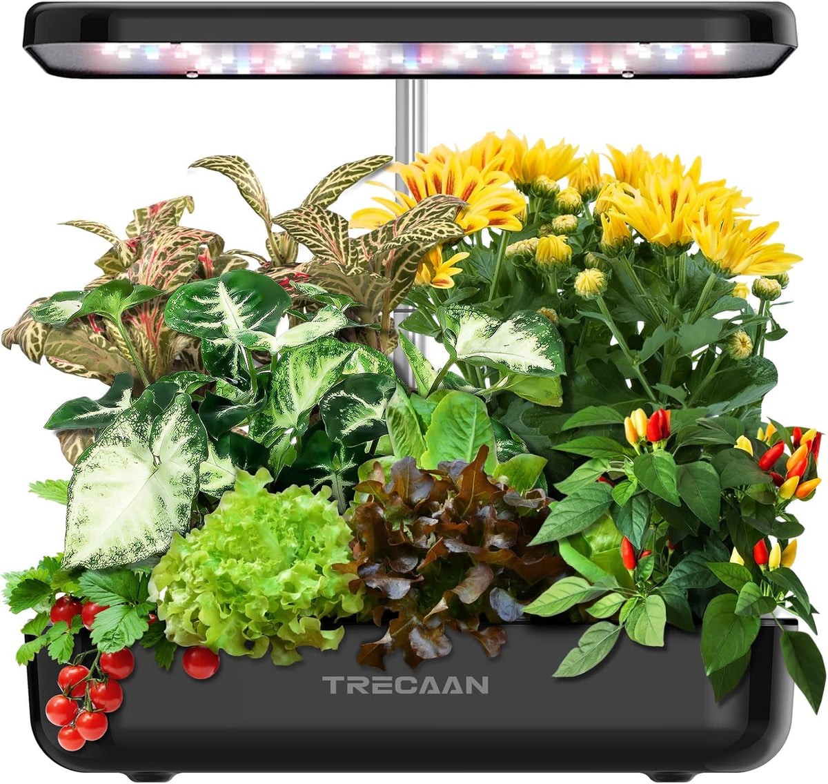 15 Pods Hydroponic Growing System Black H90705