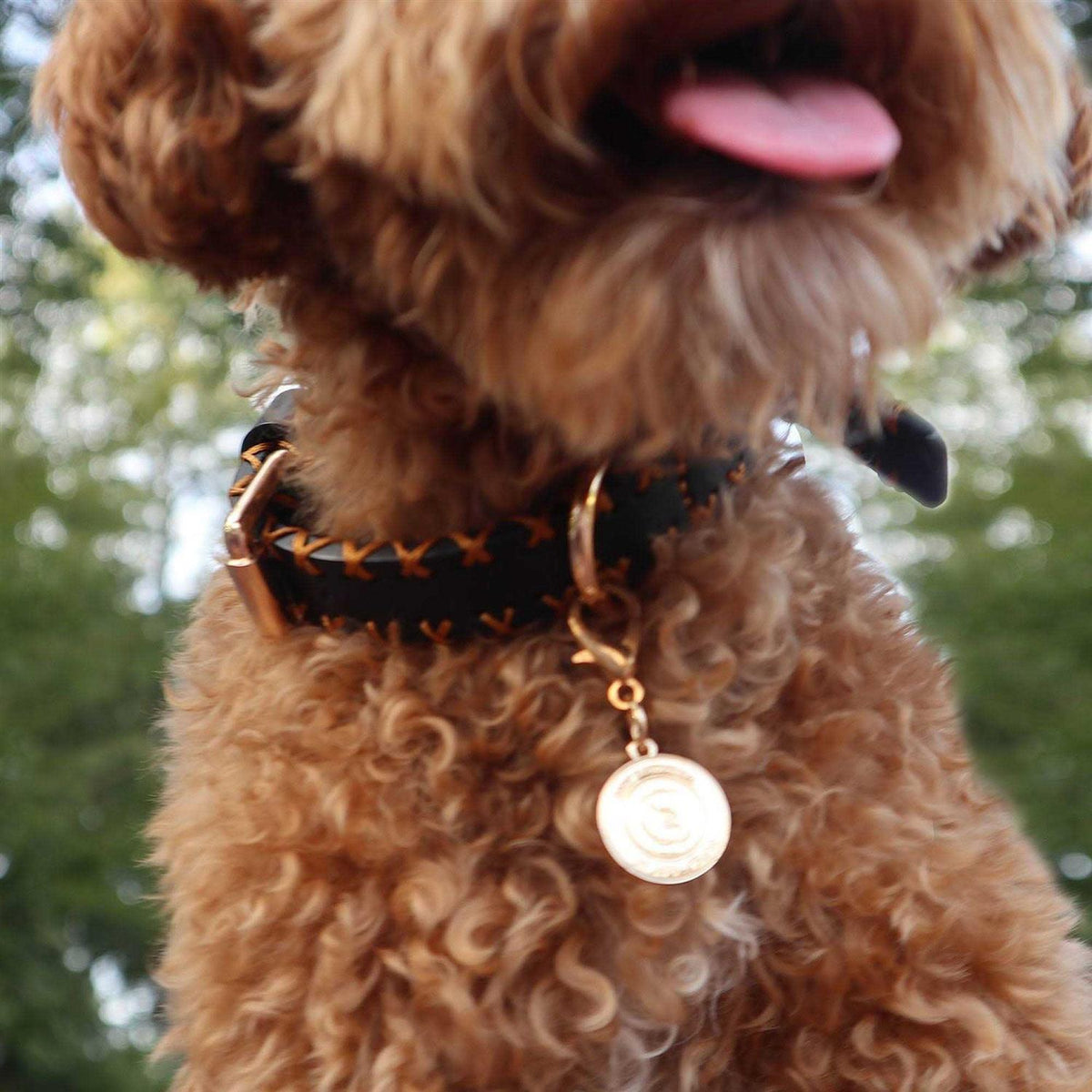 Handcrafted Standard Dog Collar F6046
