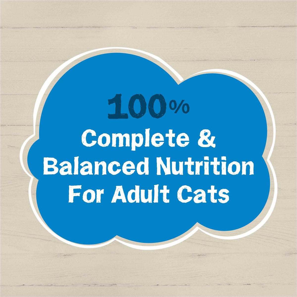 Wet Cat Food U498498
