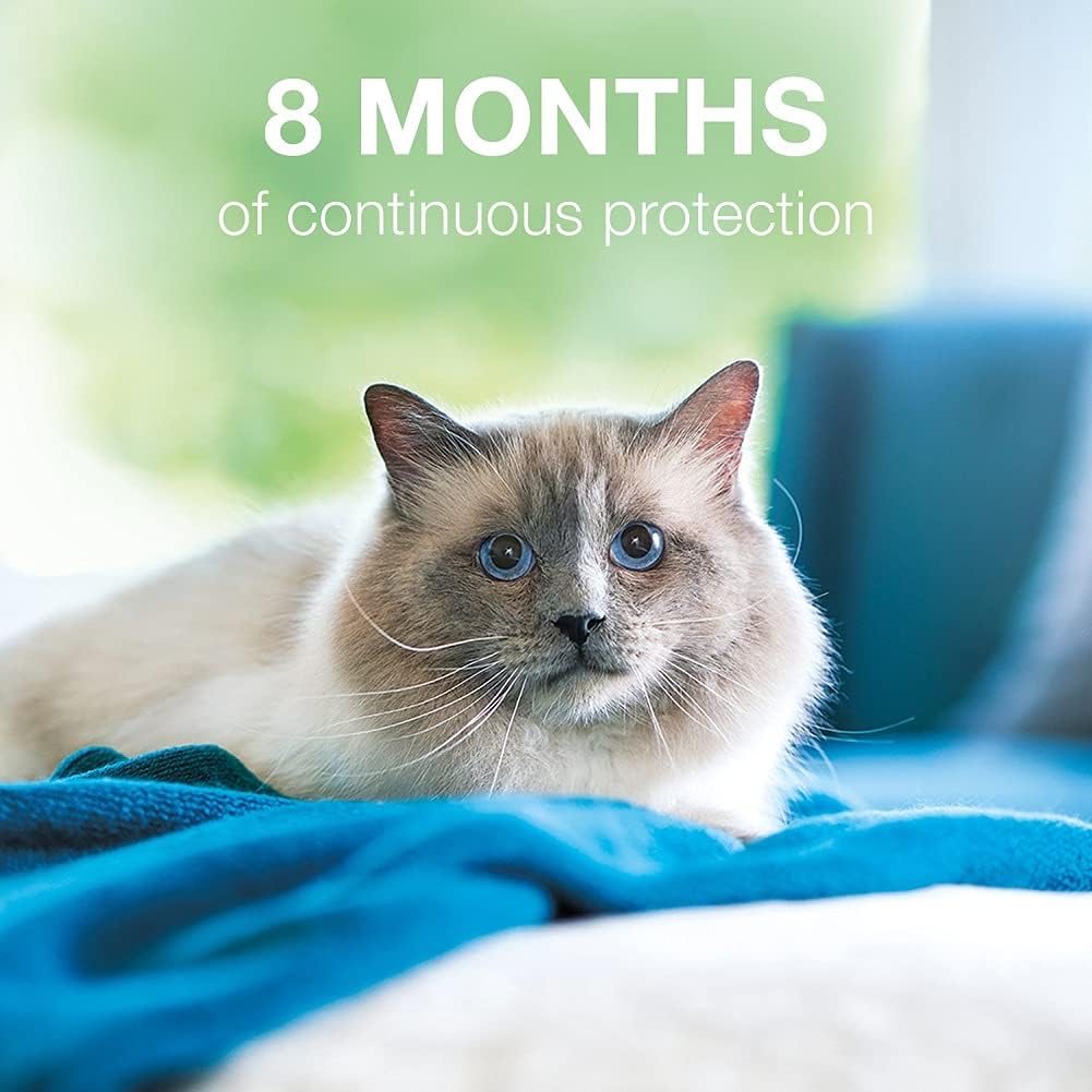 Flea and Tick Collar for Cats, 8-month U3371